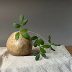 Wazonik w stylu wabi sabi